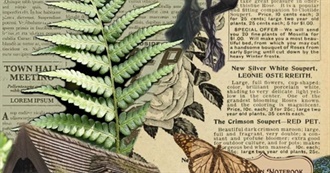 Clover&#39;s Bookshelf &#128218;