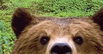 Saturn&#39;s Fav Movies