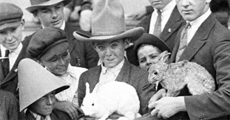 120 Random Movies for Hard Times in 2025