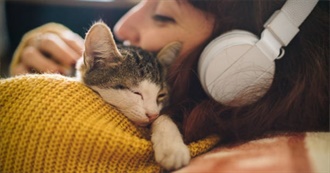 How Much of Lore&#39;s Favourite Music Have You Listened To?