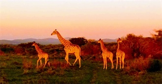 Have You Been Here Lately?