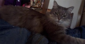 Films That Make You Go Hmmm