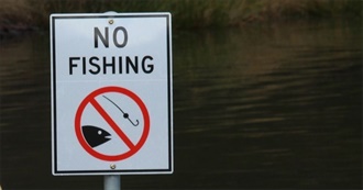 Top 10 Ingredients for Homemade Vegan &quot;Fish&quot;