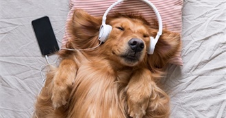 Lucas&#39;s Album List