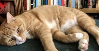 52 Book Challenge 2025