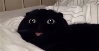 Hvor Jeg Har V&#230;rt Lol