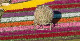 Waffle&#39;s Sapphic Movie List