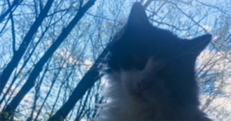 Movies That Will Either Make You Cry or Make You Die