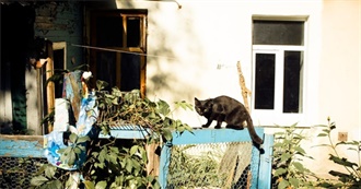 Madhu&#39;s Book List