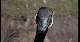 Nate&#39;s Fav Foods