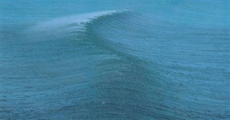 Some Albums That Sebastian Errazuriz Owns