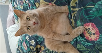 Books Charlo Recommends