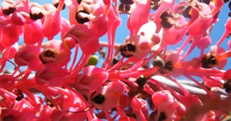 Some Non-Fiction Dumped From Brian&#39;s Bookshelf