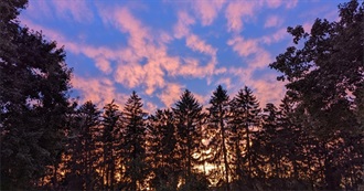 Khol&#39;s Movie List