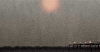 Books People Liked 11/16-11/22