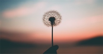 Thing's to Do in Life