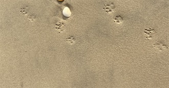 Sarah&#39;s 2020 Goals