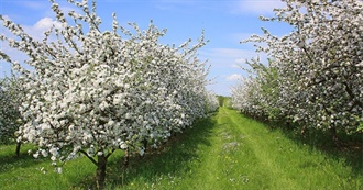 Foods to Eat in May (Central Europe)