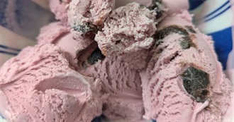 Big T&#39;s Food Eaten Today 1070