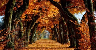 Marie&#39;s Autumn TBR