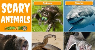 Scariest Animals