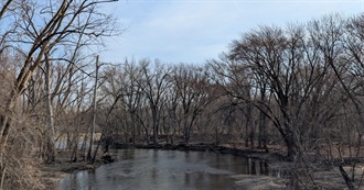 135 Recent-Ish Books