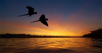 BRASIL COMPLETO - 26 Estados E Distrito Federal