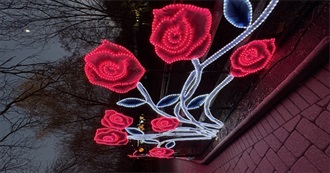 Julianna's 2025 Reads!