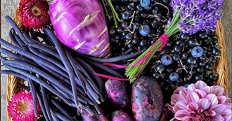 Foods Bearpod Likes: Purple