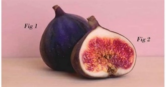 Reds Movies That Made Me