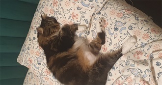 Kriss Lee Favourite Actors