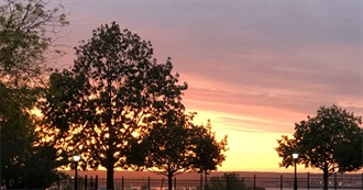 Book Attack&#39;s Books by Authors She Hasn&#39;t Read