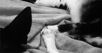 Actions Movies Lwnwrk Never Thinks About Until Now