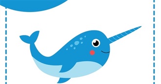 N Is for Narwhal