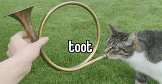 Snailfriend&#39;s Top Picks