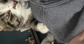 Demora&#39;s Top Movies