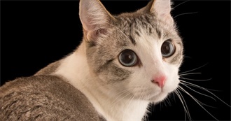 Jess&#39; Top 50 Movies (In No Particular Order)