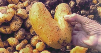 The Only Favorite Movie List That Matters