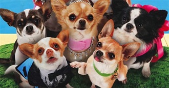 Terrible Random Movies