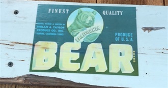 Bear&#39;s Movies of All Time