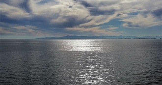 Vic&#39;s Interests and Desires