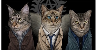 The TV Shows Ange Watched