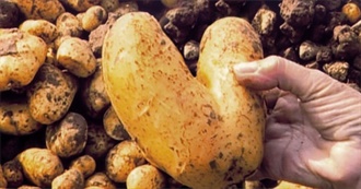 Ronnie&#39;s Memorable Movies