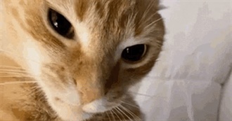 No-Where1997&#39;s Favorite Albums