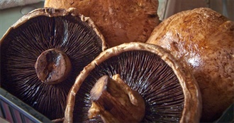 What Ray Ate - Day 324