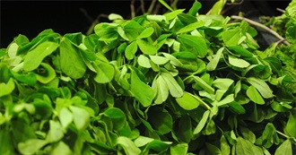 10 Foods With Fenugreek