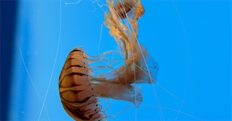 Wren&#39;s Top Books