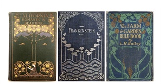 Judging Books by Their Covers