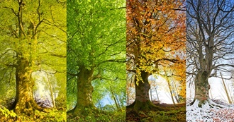 Booklover&#39;s Time to Read