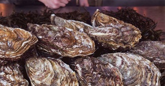 Big T&#39;s Most Popular Dishes in Australia Part 5